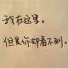 木棉花的春天